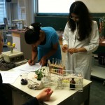 Schüler im Chemiepraktikum