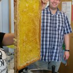 Städtisches Münchenkolleg: Der Schulgarten mit seinen Bienenvölkern hat geliefert: es gibt neuen Honig!