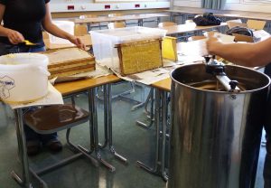 Städtisches Münchenkolleg: Die Schulimkerei kann an die Honigproduktion gehen