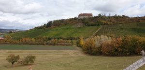 Städtisches München: Chemie: P-Seminar: Bier Brauen: Herbstausflug zum Winzer Heindel nach Ipsheim